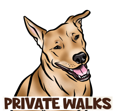 Private Walks written in brown across a cartoon image of a mixed breed tan dog