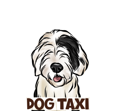 Dog Taxi written in brown across a cartoon image of an old English shepherd dog